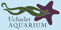 Aquarium Release Day